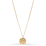 Load image into Gallery viewer, Münzhalskette gehämmert Münze 18k vergoldet