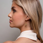 Load image into Gallery viewer, Acerdis of Tanger Ohrringe