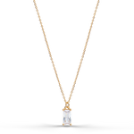 Load image into Gallery viewer, Purity of Intention® Halskette