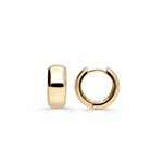 Load image into Gallery viewer, Liah's Bold Hoops Ohrringe